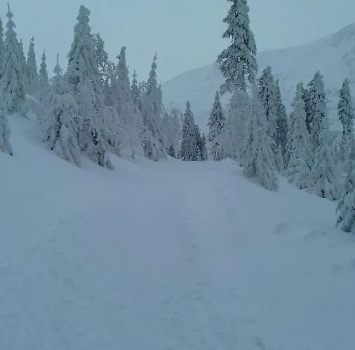 Maison d'hôtes Willa Urocza *