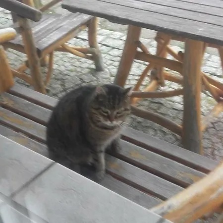 Willa Urocza Pensjonat