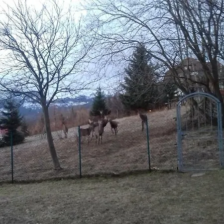 Pensjonat Willa Urocza *