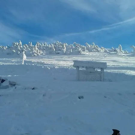 Pensjonat Willa Urocza