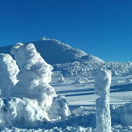 Willa Urocza Pensjonat *