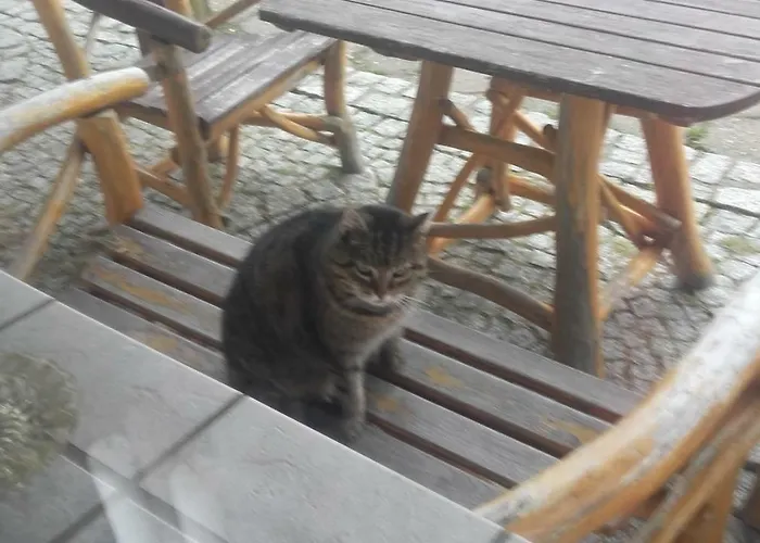 Willa Urocza Gasthuis