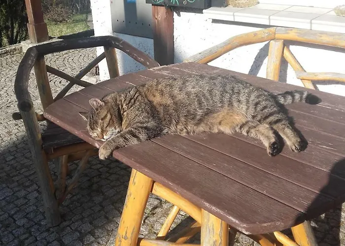 Pensjonat Willa Urocza *