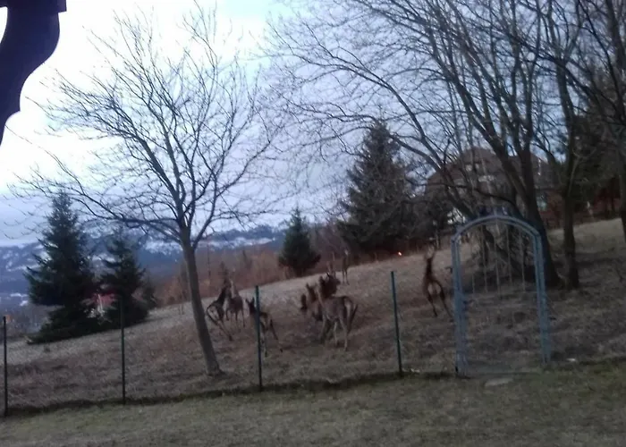 Gasthuis Willa Urocza Karpacz