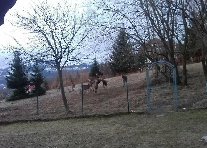 Affittacamere Willa Urocza *