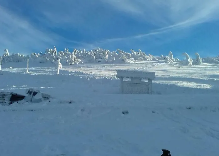 Gasthuis Willa Urocza